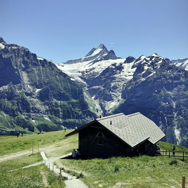Alpine Freedom: A Solo Summer Adventure in the Bernese Oberland