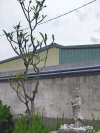 🏛️ 信義街咾咕石黃宅-開幕首展
