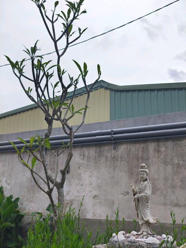 🏛️ 信義街咾咕石黃宅-開幕首展