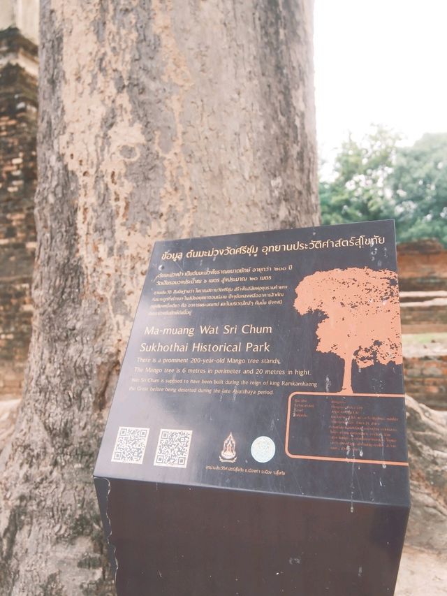 📍รีวิววัดศรีชุม สุโขทัย  ที่ต้องมาสักครั้งในชีวิต