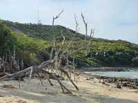หาดแสม เกาะล้าน