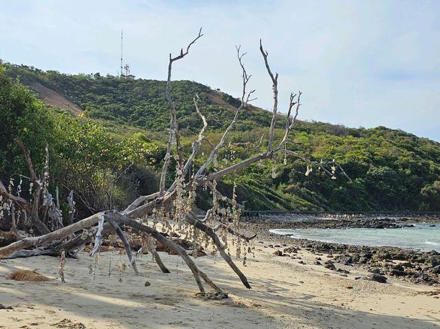 หาดแสม เกาะล้าน