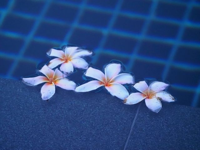 Soul-fulfilling at Sofitel Singapore Sentosa