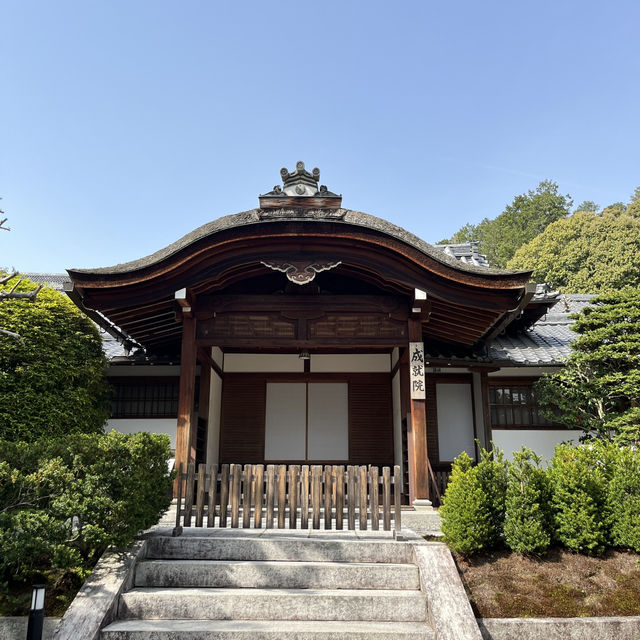 🍵⛩️🏮 Strolling Through Ninenzaka & Sannenzaka – Kyoto’s Timeless Slopes