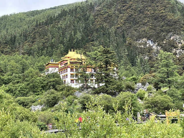 🏔️ Trekking the Last Shangri-La — 📍Luorong Pasture → Milk Lake → Five-Colour Lake 