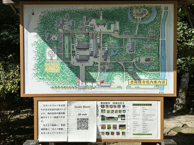 唐招提寺：探索奈良的佛教瑰寶，感受千年文化的深厚底蘊！