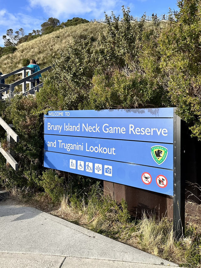 A Must in TASMANIA- Bruny Island 🏝️ 