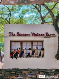 จุดเช็คอินสวนผึ้งที่ห้ามพลาด‼️the scenery vintage 