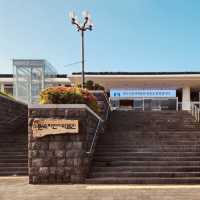 Unveiling Jeju's Volcanic Birth and Natural Wonders