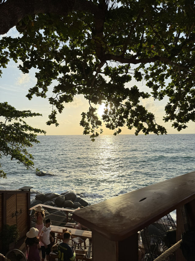𝙏𝙝𝙚 𝘾𝙤𝙢𝙢𝙪𝙣𝙚 𝙏𝙚𝙧𝙧𝙖𝙘𝙚 & 𝘽𝙖𝙧 🍹