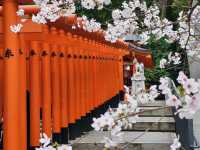 神戶鬧區內的櫻花秘境/生田神社