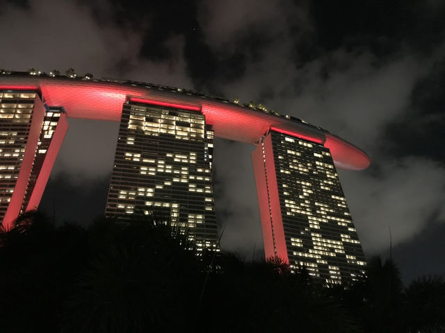  🌳 Garden by the Bay & Marina Bay