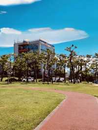 Scenic Views and Photo Opportunities from a Green Vantage Point