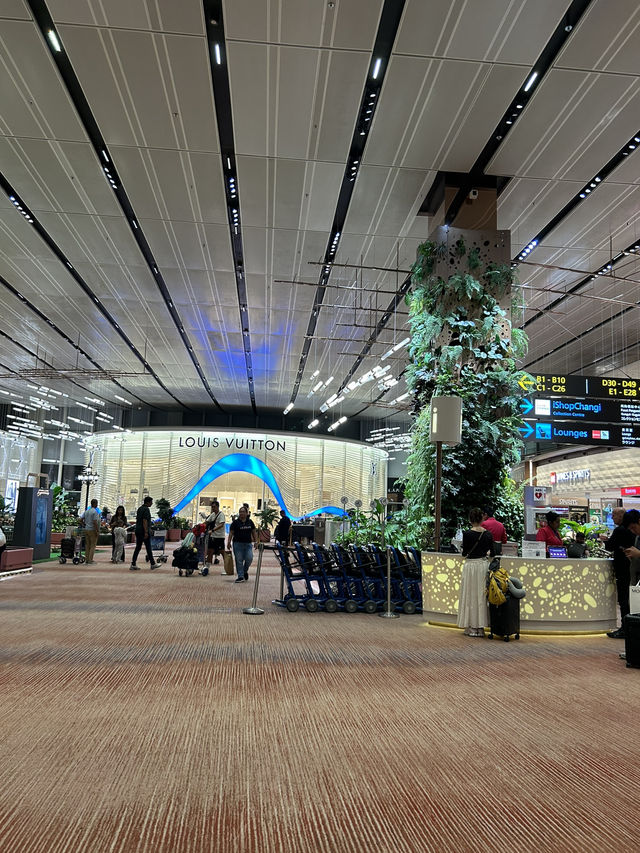 シンガポール5日間のカジュアル旅 写真映えルート