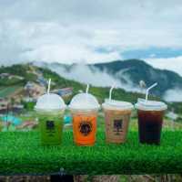 Cha Bay La Camping  ที่พักภูทับเบิก🏕️