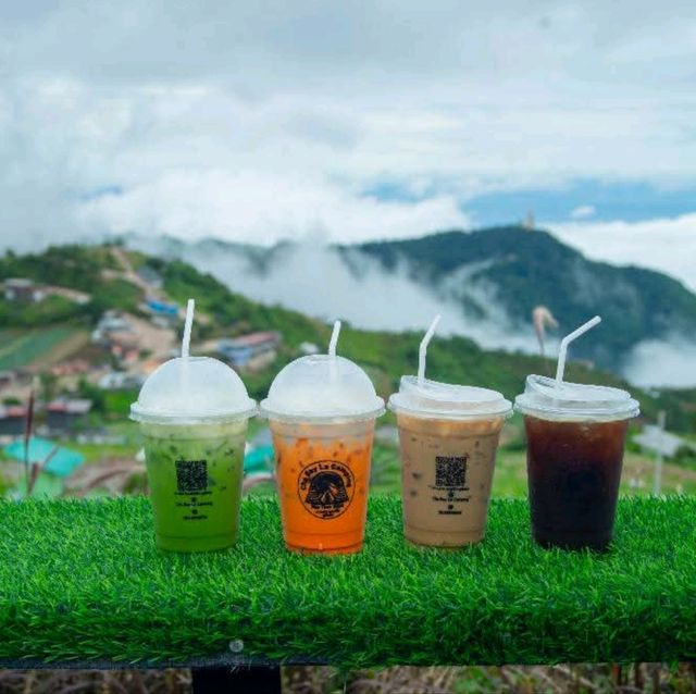 Cha Bay La Camping  ที่พักภูทับเบิก🏕️