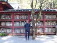 📍箱根神社 · 森林中的靜謐力量