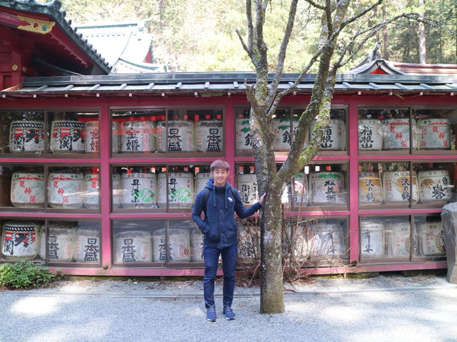 📍箱根神社 · 森林中的靜謐力量