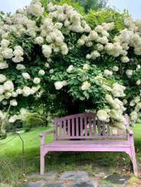 Garden of Morning Calm – A Serene Escape Near Seoul