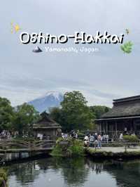 Oshino-Hakkai | หมู่บ้านน้ำใสวิวฟูจิซัง🗻✨