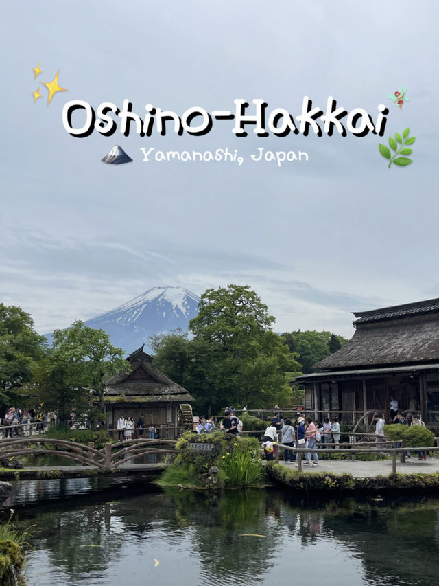 Oshino-Hakkai | หมู่บ้านน้ำใสวิวฟูจิซัง🗻✨