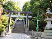 Path of Light: A Visit to Miyajidake Shrine
