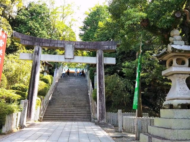 Path of Light: A Visit to Miyajidake Shrine