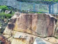 Big Wave Bay (Shek O)