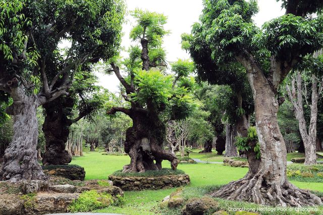 สวนช้างทองเฮอริเทจ สวนไม้โยราณเชียงใหม่
