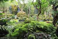 สวนช้างทองเฮอริเทจ สวนไม้โยราณเชียงใหม่