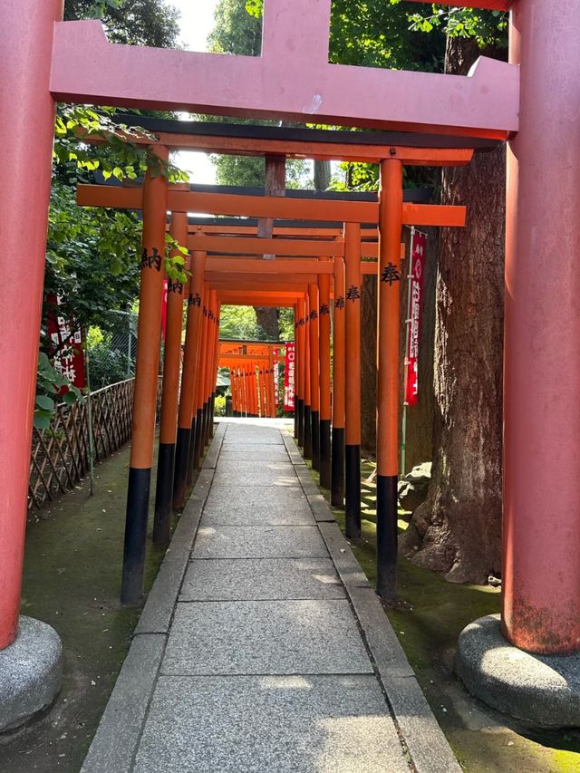 Ueno Park: A Peaceful Escape in the Bustling City