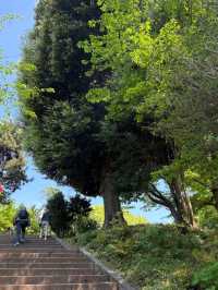 Explore the Heart of Tokyo at Ueno Park