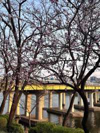 Seonyudo Park