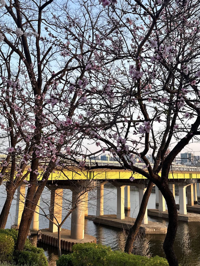 Seonyudo Park