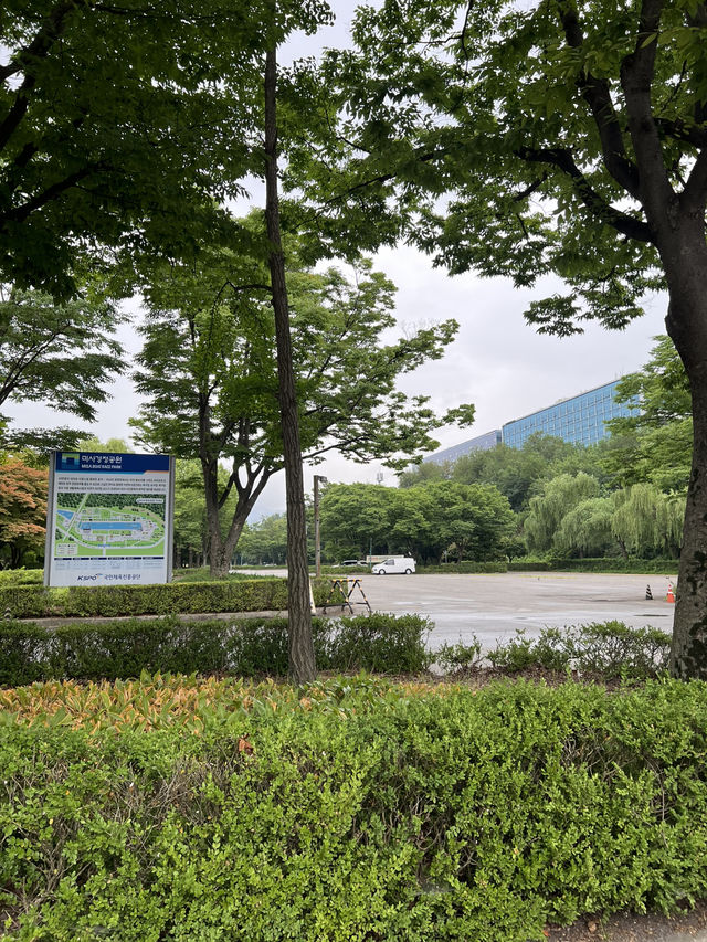 공원길을 걸어요
