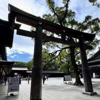 Meiji Jingu: A Tranquil Path to Tokyo’s Sacred Heart