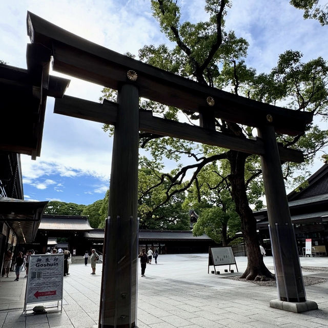 Meiji Jingu: A Tranquil Path to Tokyo’s Sacred Heart