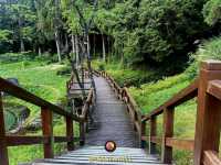 Alishan