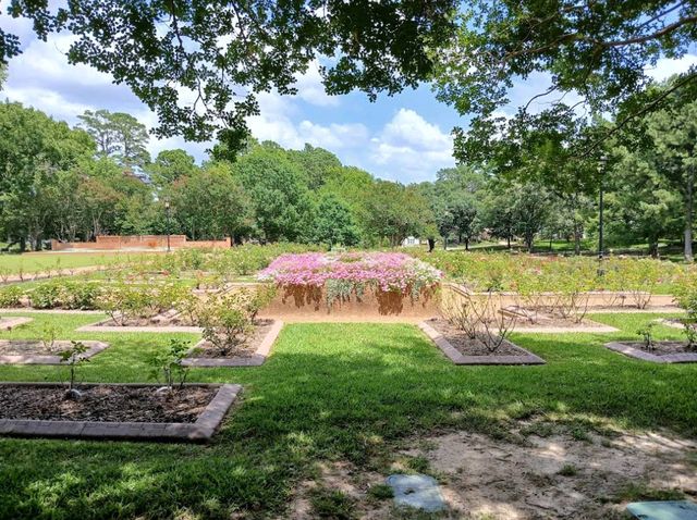 Tyler Rose Garden – Tyler