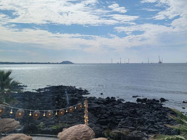 제주 해지개