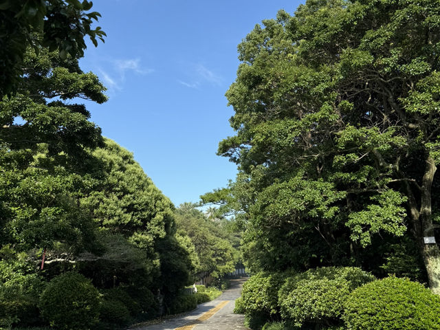 제주도 서귀포 배낭여행
