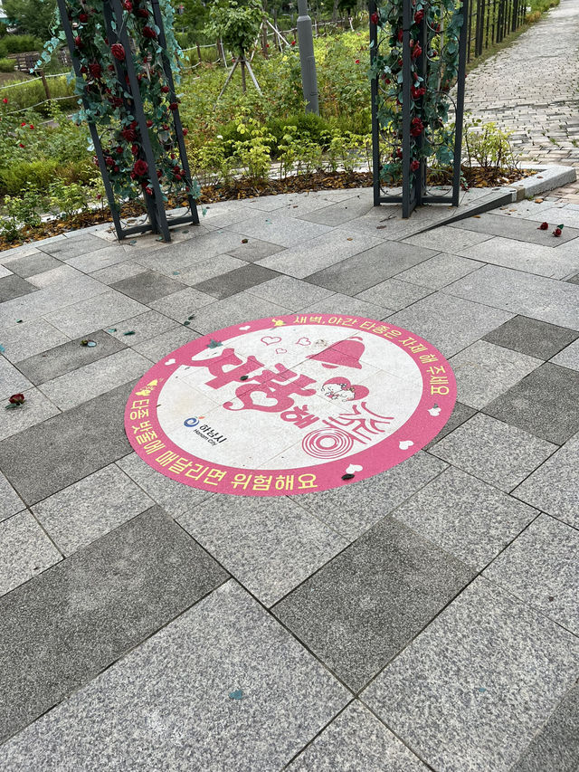 장미는 비록 졌지만, 그래도 예쁜 장미정원