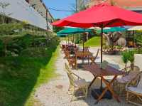 A nice cozy summer at The Palm Suites
