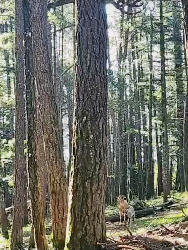 一生可以遊多少次雲南？