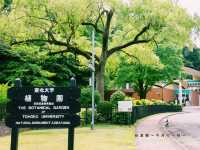 仙台🇯🇵東北大學植物園