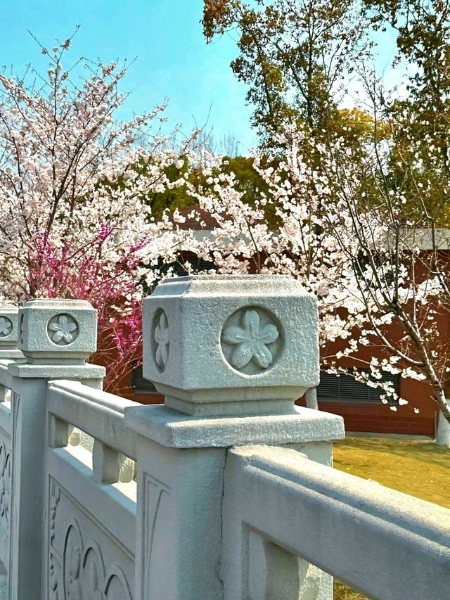 Spring waltz into Gucun Park