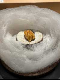 [Yuzu Omakase – 17 Thai Phien Ward, Le Dai Hanh Ward, Hai Ba Trung District, Hanoi]