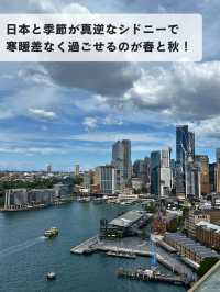 🌸春のシドニーが最高な理由