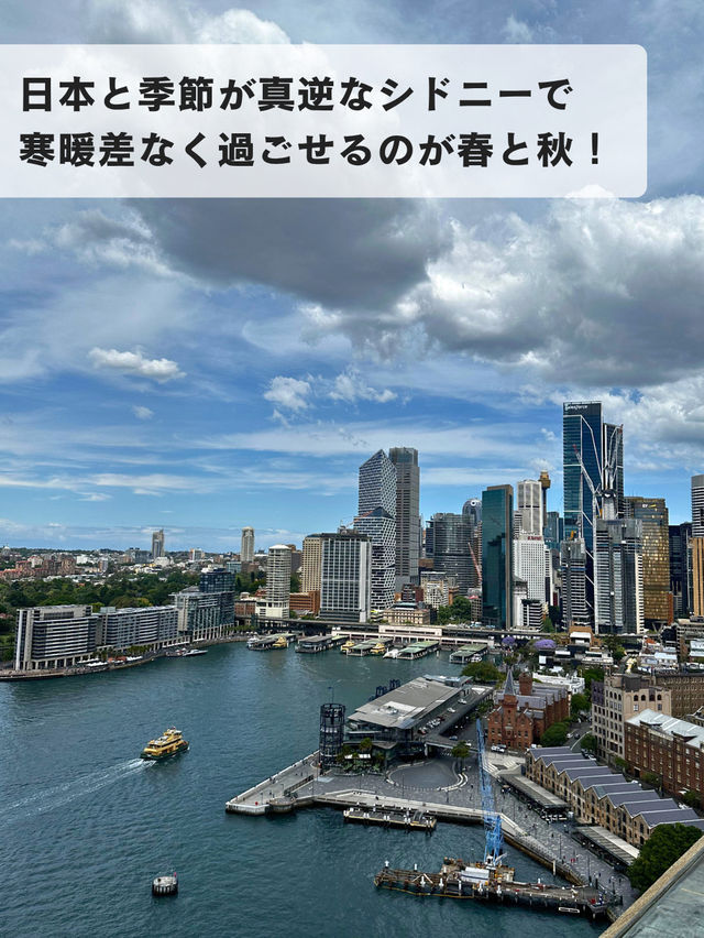 🌸春のシドニーが最高な理由
