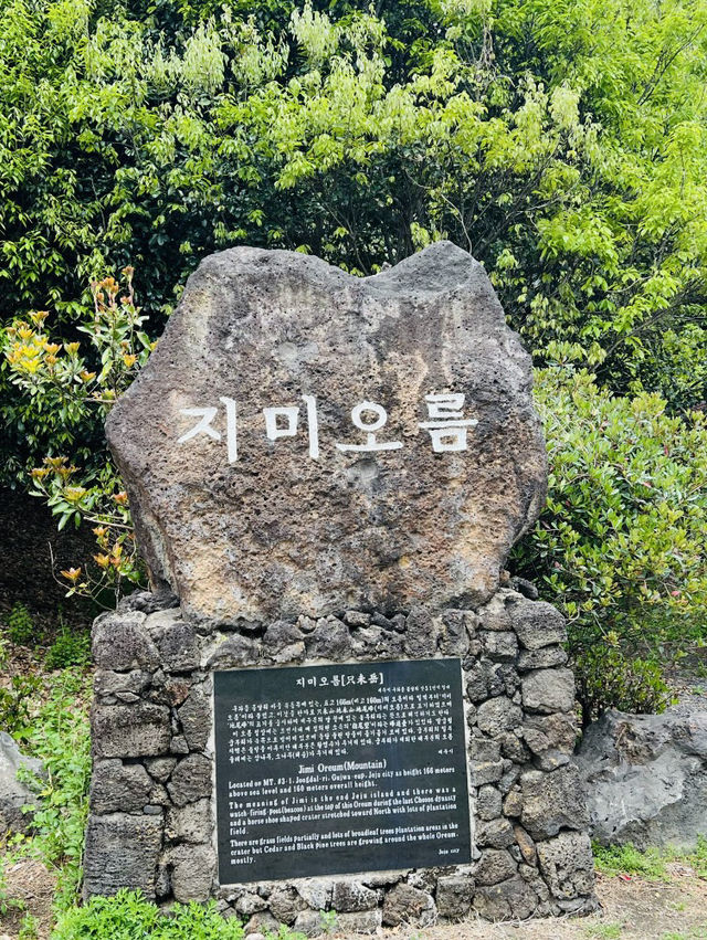 A Picturesque Hike Through Jeju's Volcanic Landscape